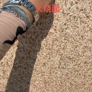 哈密黄金麻火烧面